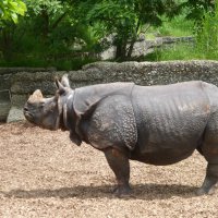 Narresume-Ausflug Basler Zoo